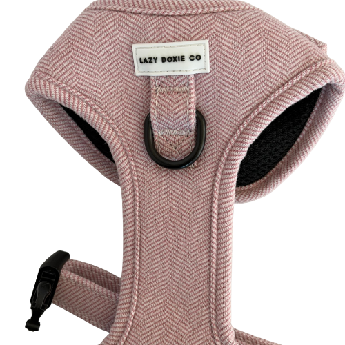 Over-Head Tweed Dachshund Harness