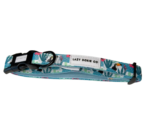 Dachshund Collar - 'Doxiecana'