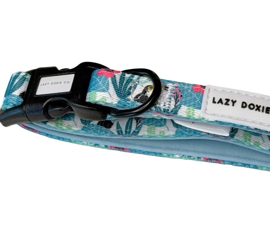 Dachshund Collar - 'Doxiecana'