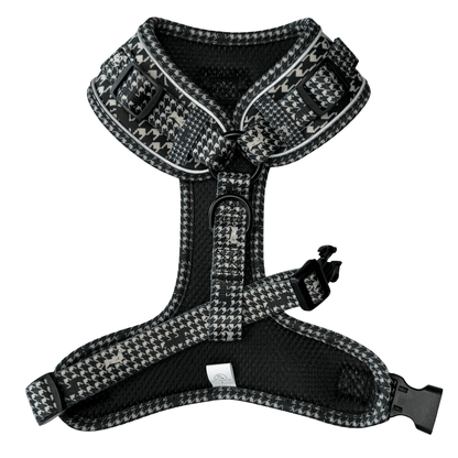 Dachshund Harness - Lazy Doxie Co