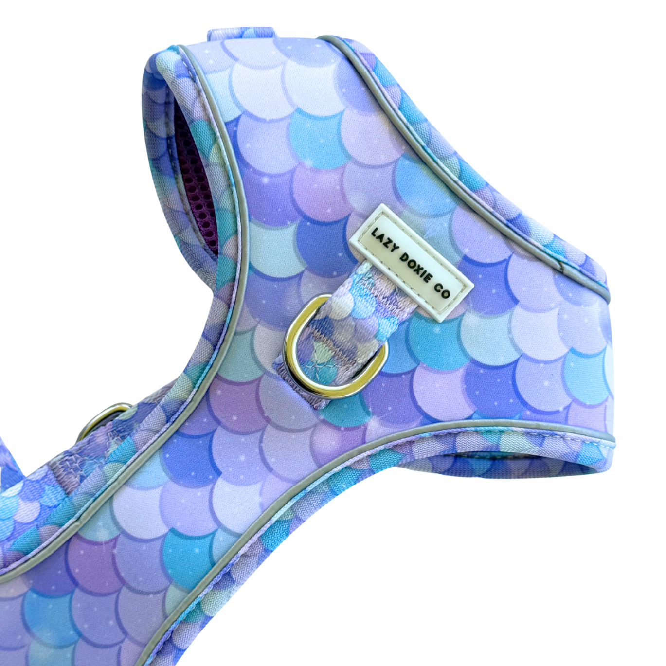 Dachshund Harness - Lazy Doxie Co