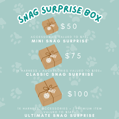 Snag Surprise Boxes
