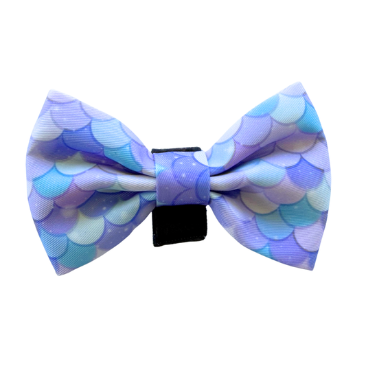 Dachshund Bows - 'Pawmaid Dreams'