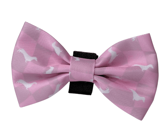 Dachshund Bow Ties - Lazy Doxie Co