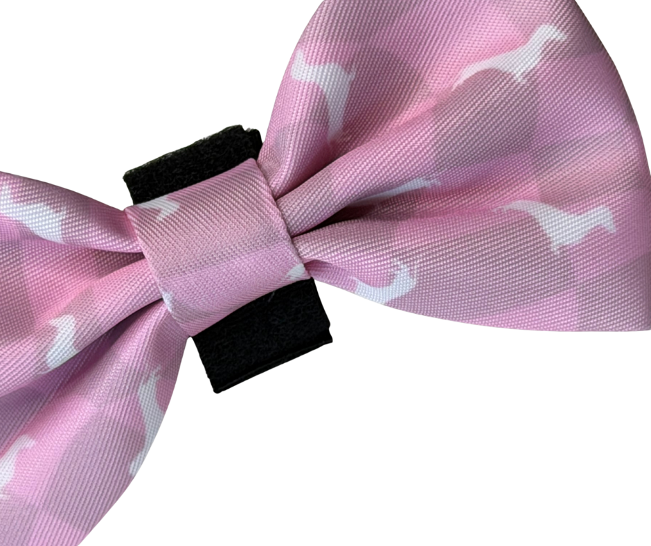 Dachshund Bows - 'Pinky Pupwalk'