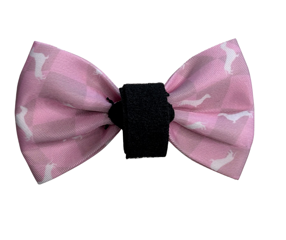 Dachshund Bows - 'Pinky Pupwalk'