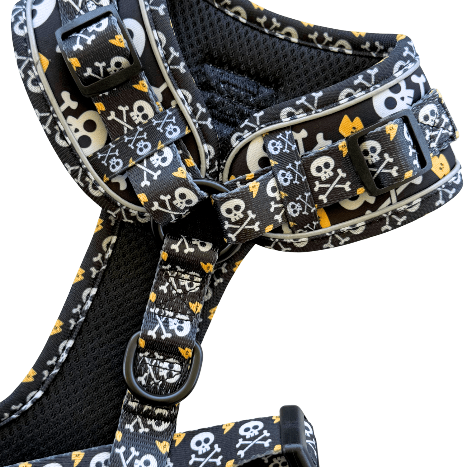 Dachshund Harness - Lazy Doxie Co