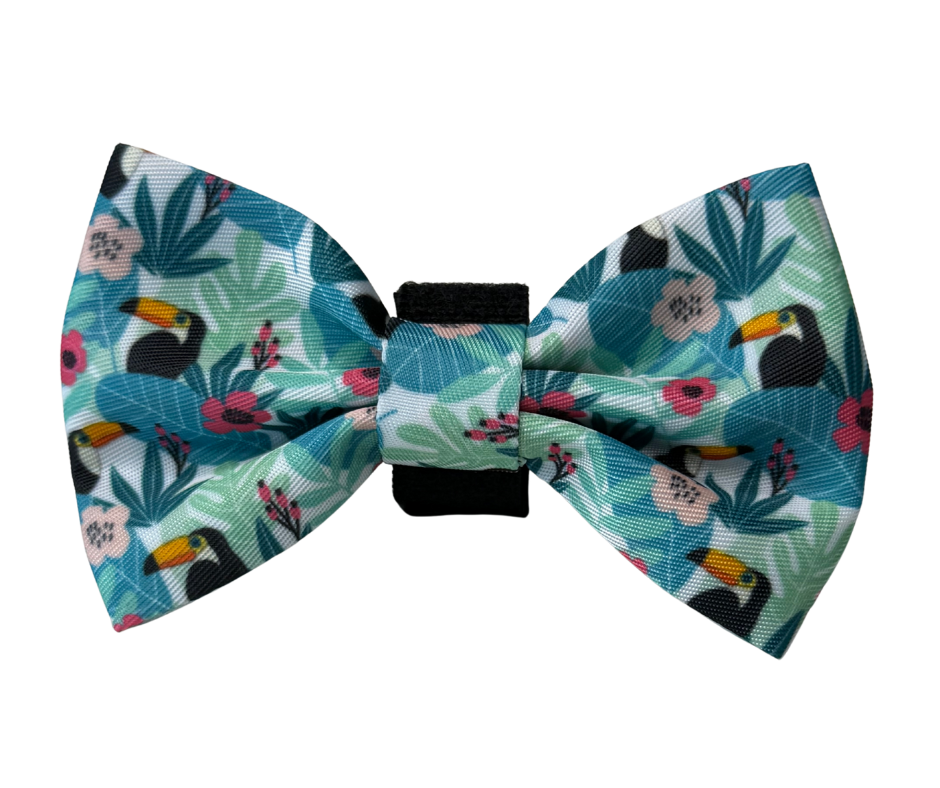 Dachshund Bows - 'Doxiecana'
