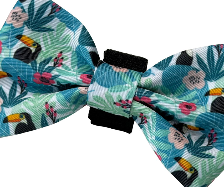 Dachshund Bows - 'Doxiecana'