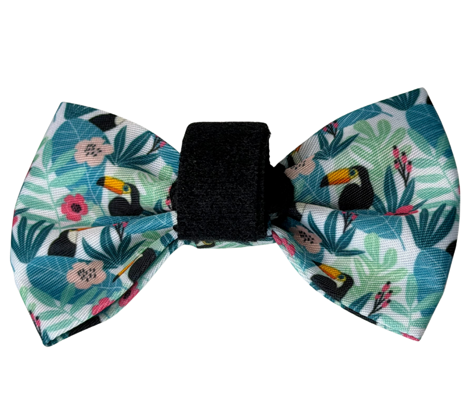 Dachshund Bows - 'Doxiecana'