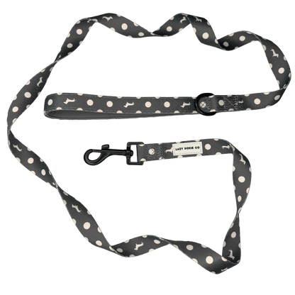 Printed Leashes - Lazy Doxie Co