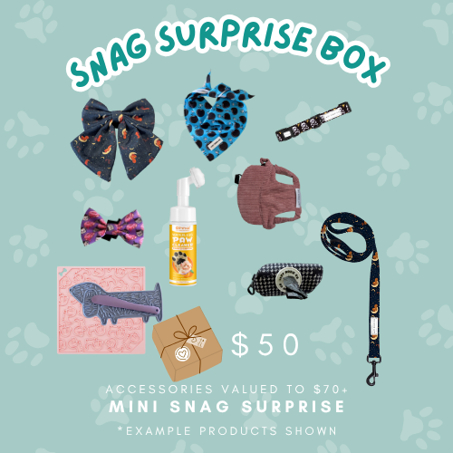 Snag Surprise Boxes