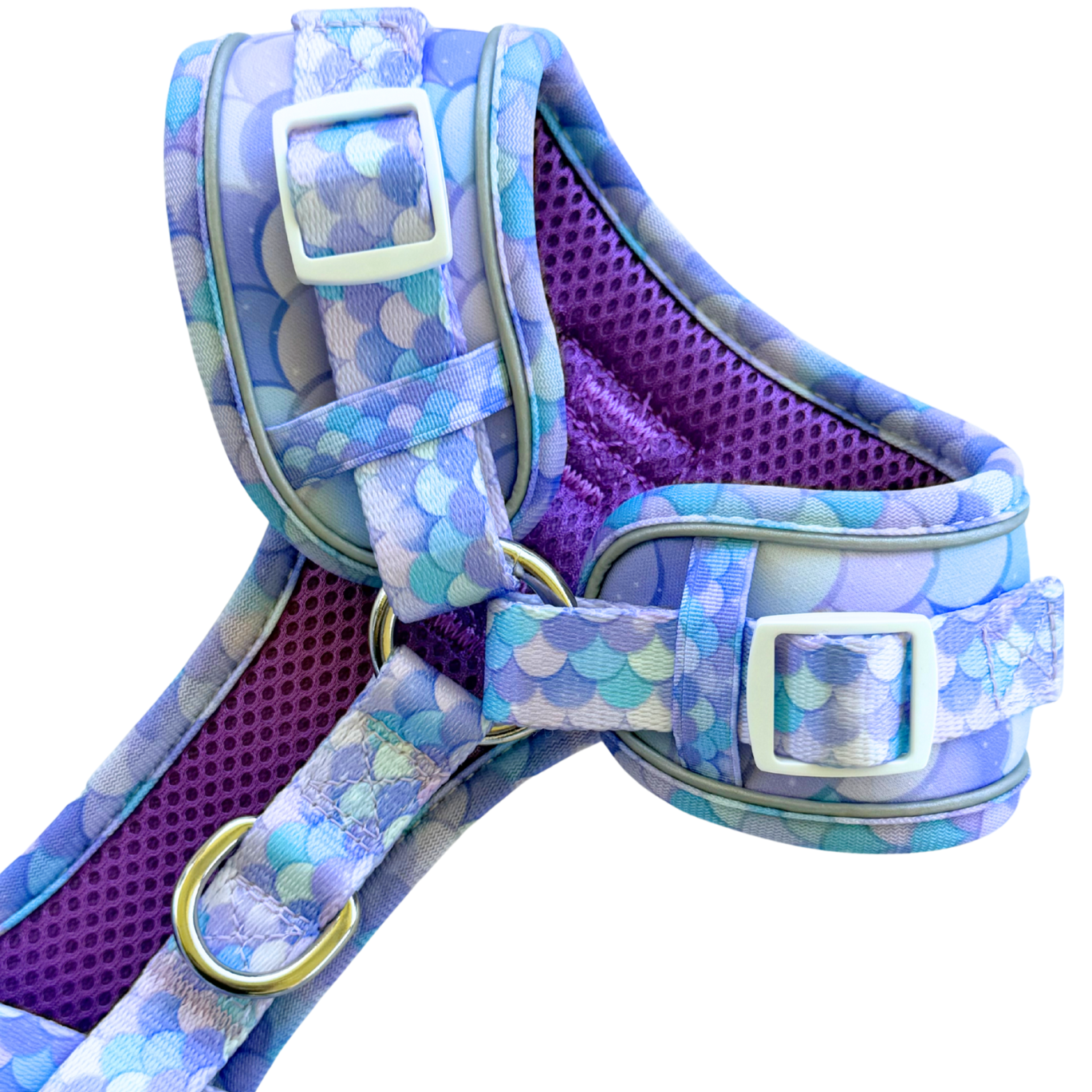 Dachshund Harness - Lazy Doxie Co