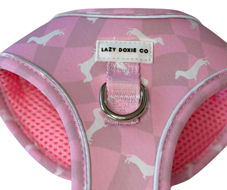 Dachshund Harness - 'Pinky Pupwalk'