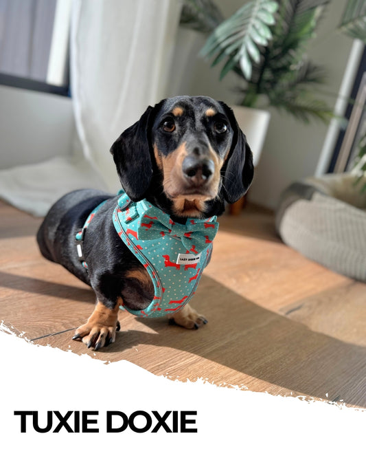 Harness - Tuxie Doxie - Lazy Doxie Co