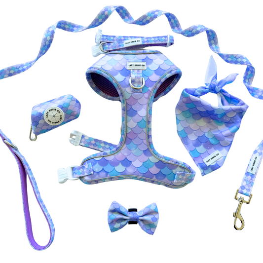 Daily Doxie Bundle - 'Pawmaid Dreams'