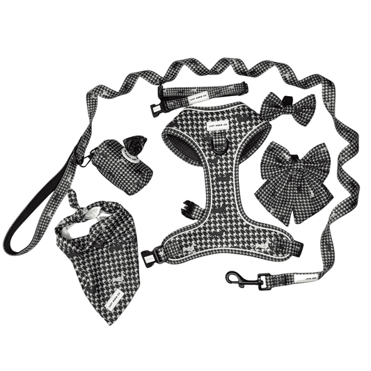 Daily Doxie Bundle - 'Houndstooth Hound'