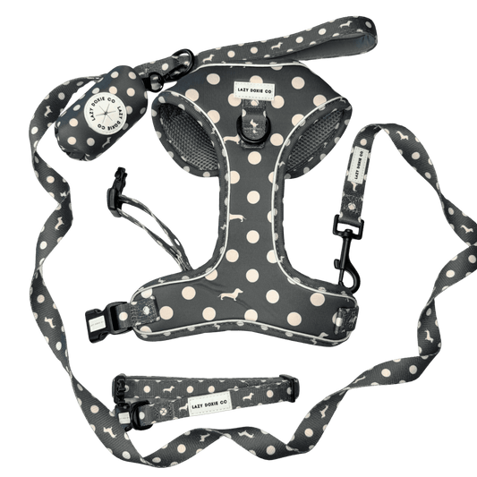 Snag + Go Bundle - 'Dash 'n' Dots