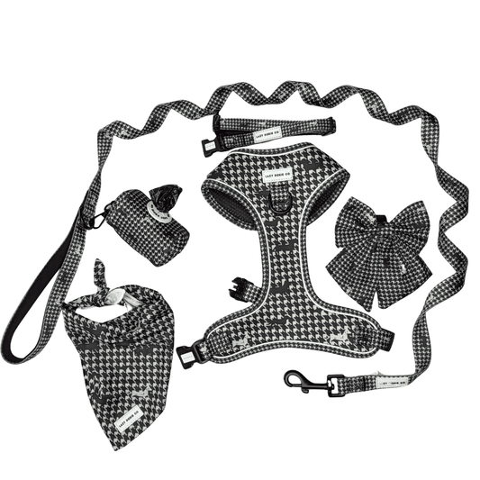 Daily Doxie Bundle - 'Houndstooth Hound'