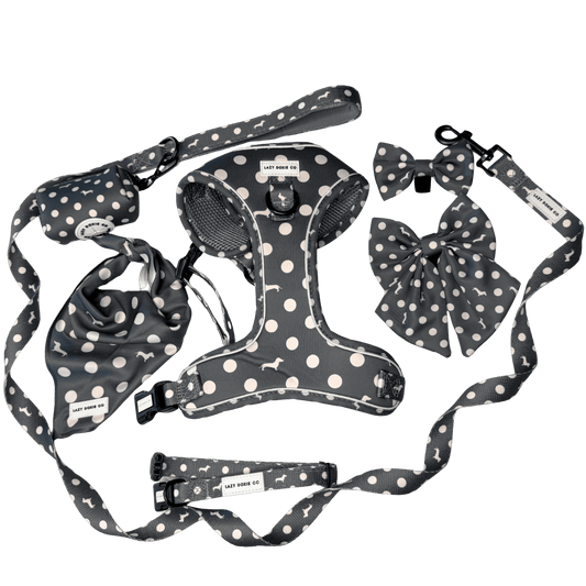 Daily Doxie Bundle - 'Dash 'n' Dots'