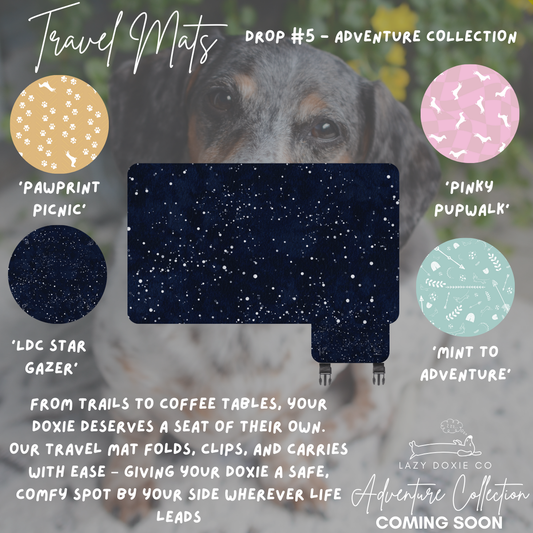 Travel Mat + Crossbody Strap - Mint to Adventure