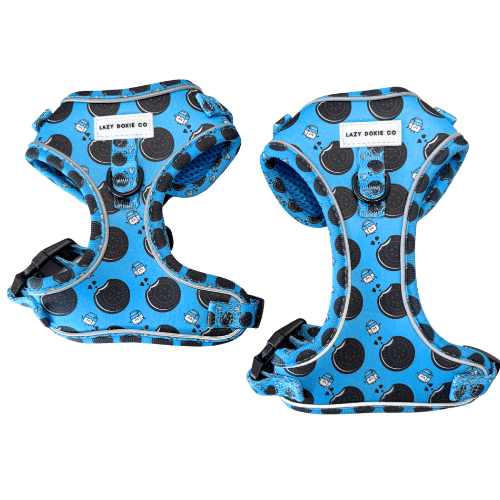 Dachshund Harness - 'Puppy Starter Harness Pack' - Lazy Doxie Co