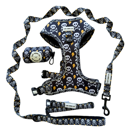 Snag + Go Bundle - 'Bad to the Bone'