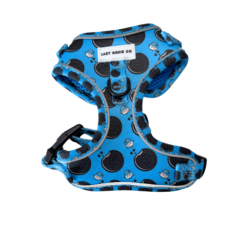 Dachshund Harness - 'Puppy Starter Harness Pack' - Lazy Doxie Co