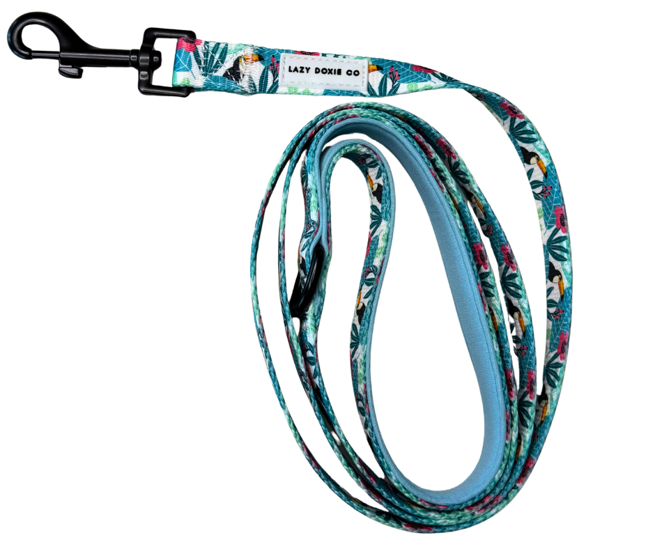 Dachshund Leash - 'Doxiecana'