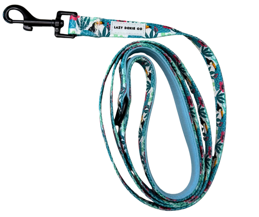 Dachshund Leash - 'Doxiecana'