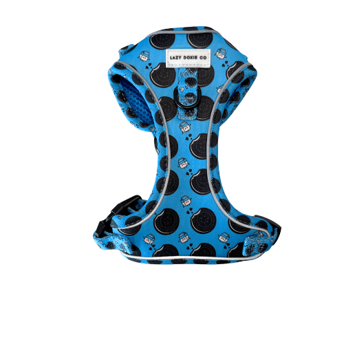 Dachshund Harness - 'Puppy Starter Harness Pack' - Lazy Doxie Co