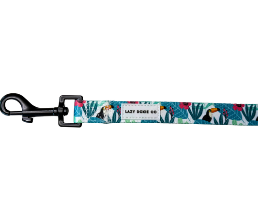 Dachshund Leash - 'Doxiecana'