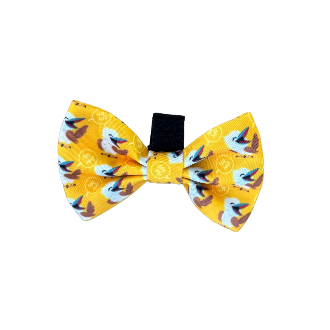 Dress to Drool Bundle - Snagaburra - Lazy Doxie Co