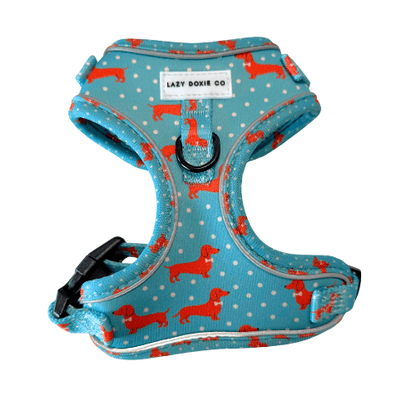 Dachshund Harness - 'Puppy Starter Harness Pack' - Lazy Doxie Co