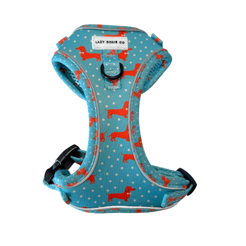 Dachshund Harness - 'Puppy Starter Harness Pack' - Lazy Doxie Co
