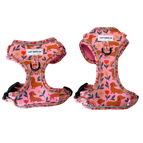 Dachshund Harness - 'Puppy Starter Harness Pack' - Lazy Doxie Co