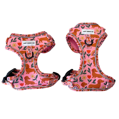 Dachshund Harness - 'Puppy Starter Harness Pack' - Lazy Doxie Co