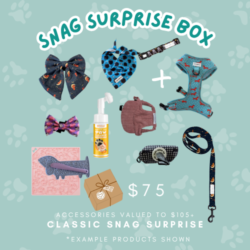 Snag Surprise Boxes