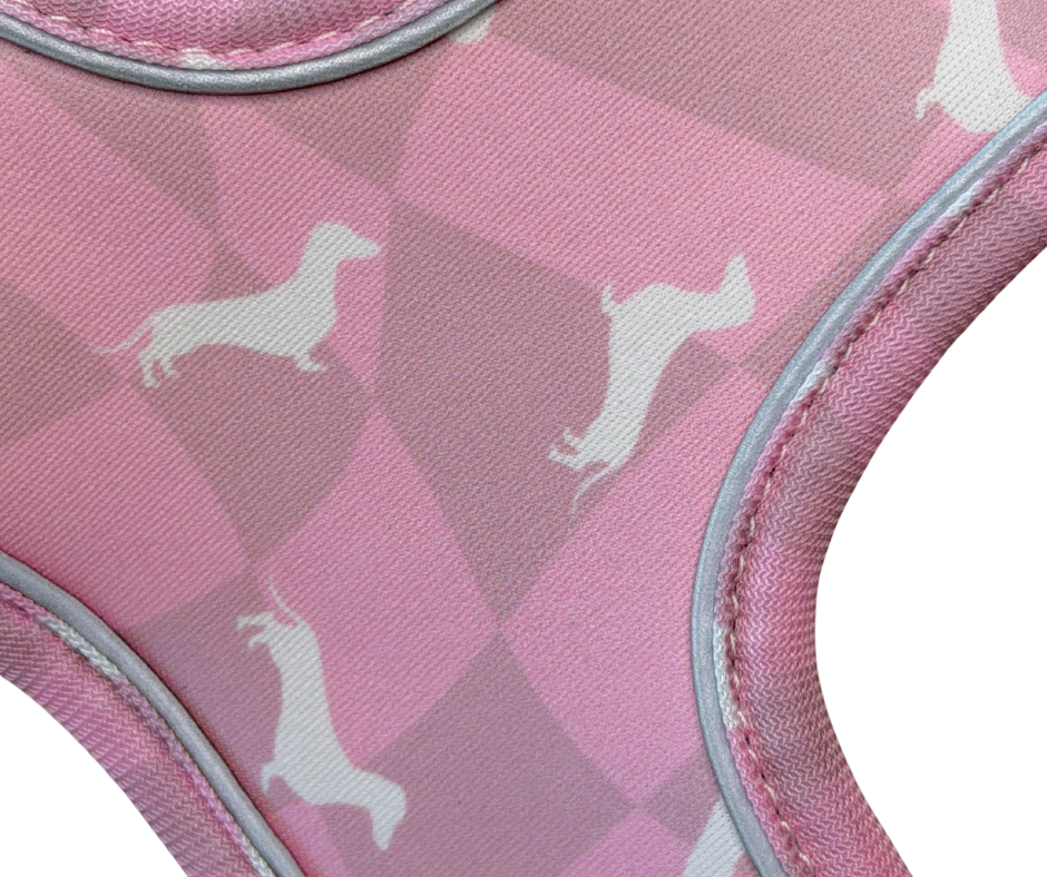 Dachshund Harness - 'Pinky Pupwalk'