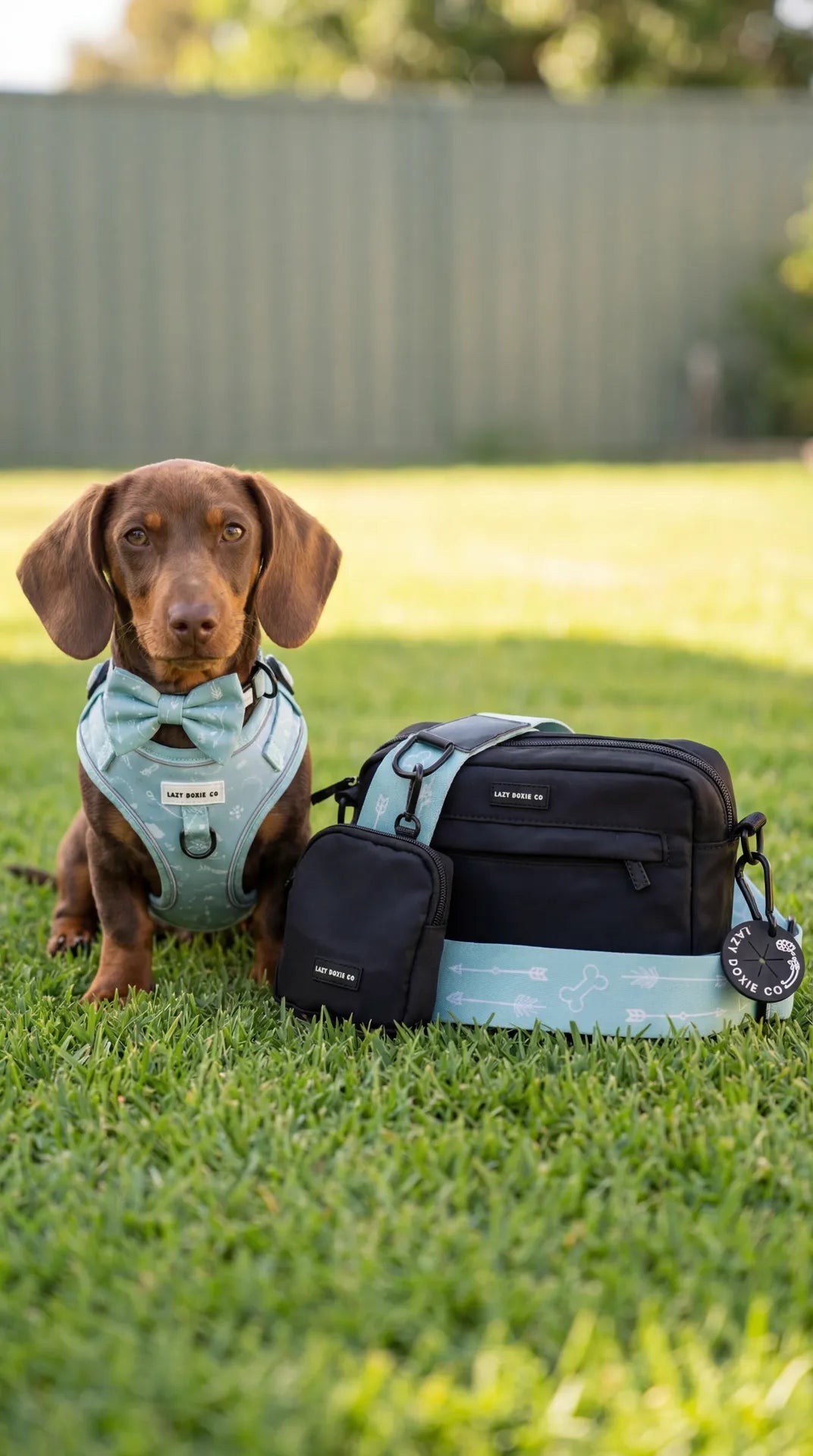 Dog Walking Bags - Lazy Doxie Co