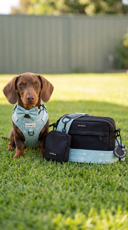 Dog Walking Bags - Lazy Doxie Co