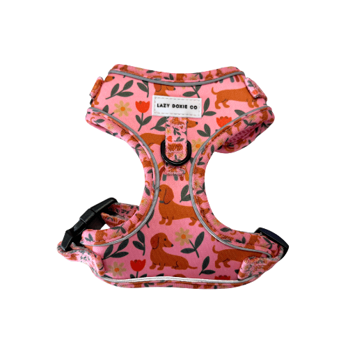 Dachshund Harness - 'Puppy Starter Harness Pack' - Lazy Doxie Co