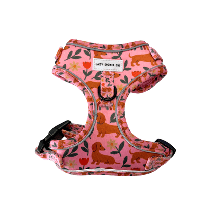 Dachshund Harness - 'Puppy Starter Harness Pack' - Lazy Doxie Co