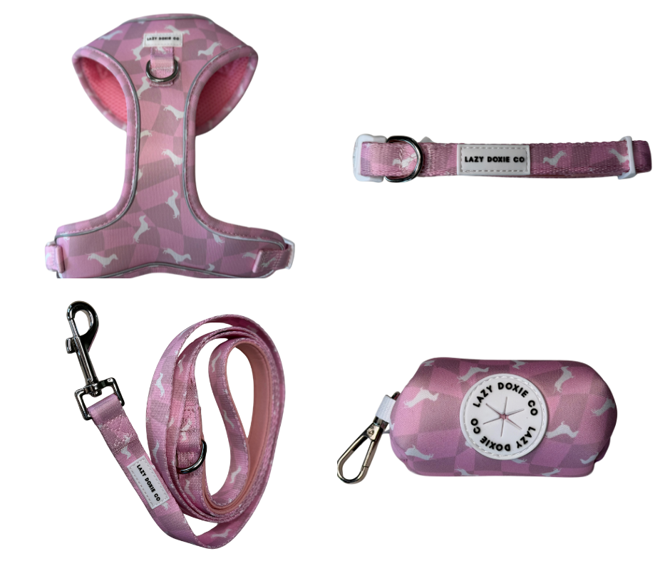 Snag + Go Bundle - Pinky Pupwalk