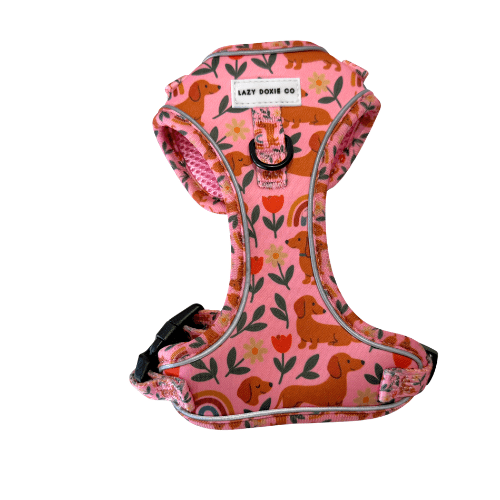 Dachshund Harness - 'Puppy Starter Harness Pack' - Lazy Doxie Co
