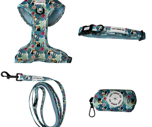 Snag + Go Bundle - Doxiecana