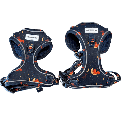 Dachshund Harness - 'Puppy Starter Harness Pack' - Lazy Doxie Co
