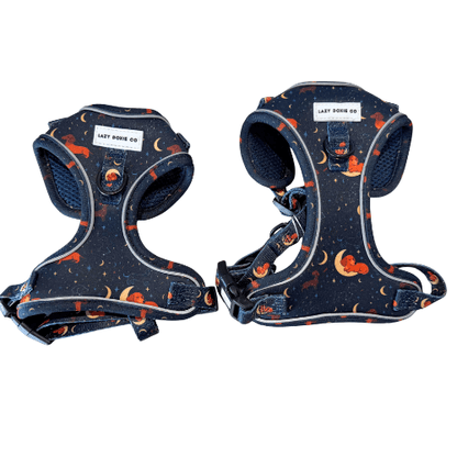 Dachshund Harness - 'Puppy Starter Harness Pack' - Lazy Doxie Co