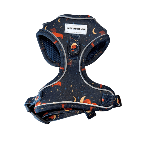 Dachshund Harness - 'Puppy Starter Harness Pack' - Lazy Doxie Co