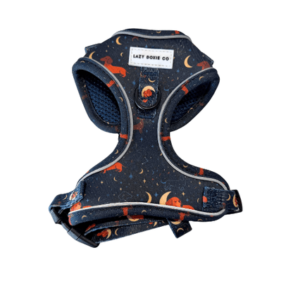 Dachshund Harness - 'Puppy Starter Harness Pack' - Lazy Doxie Co